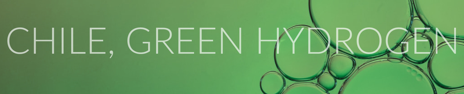 Green Hydrogen Brochure For Investor s
