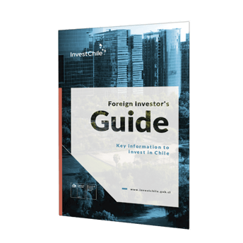 investors-guide-eng-icono.png