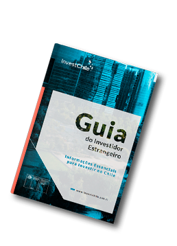 guia-inversionita-ebook-portugues