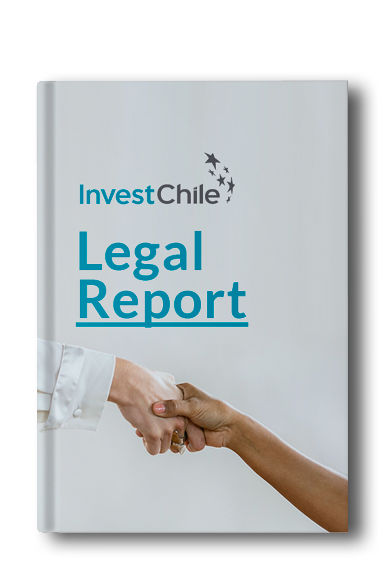 legal-report